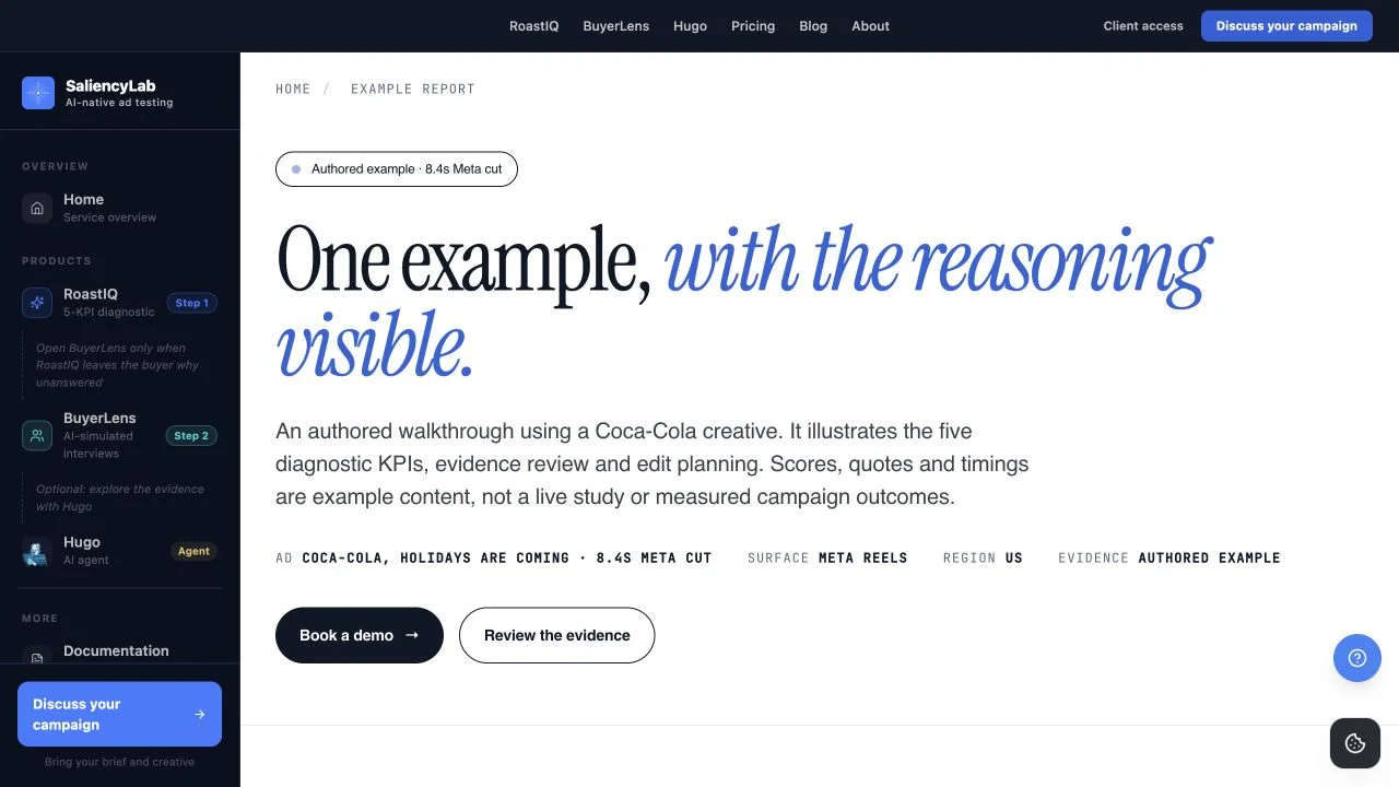 The public demo identifies itself as an authored example. Its creative, scores and recommendations teach report structure, not client performance.